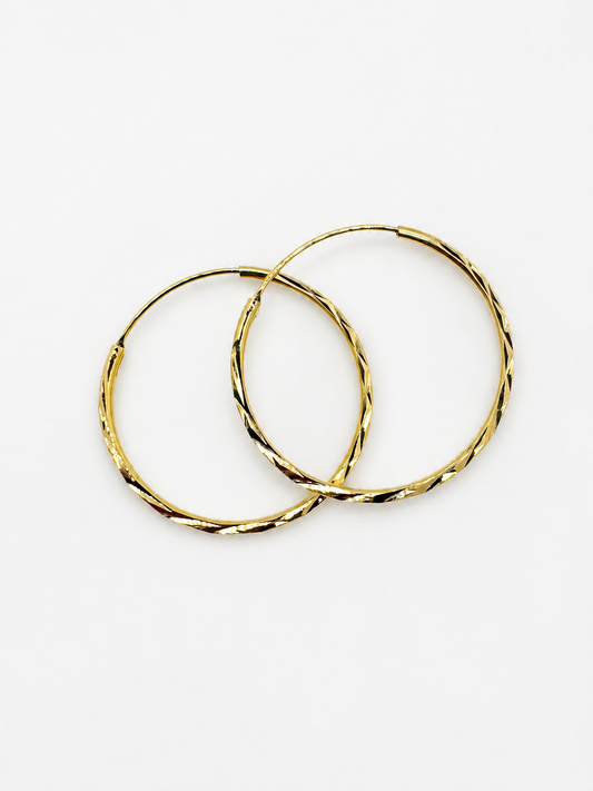 Trendy Gold Plated Hoop Earrings